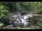 Mayflower National Park Belize 2020